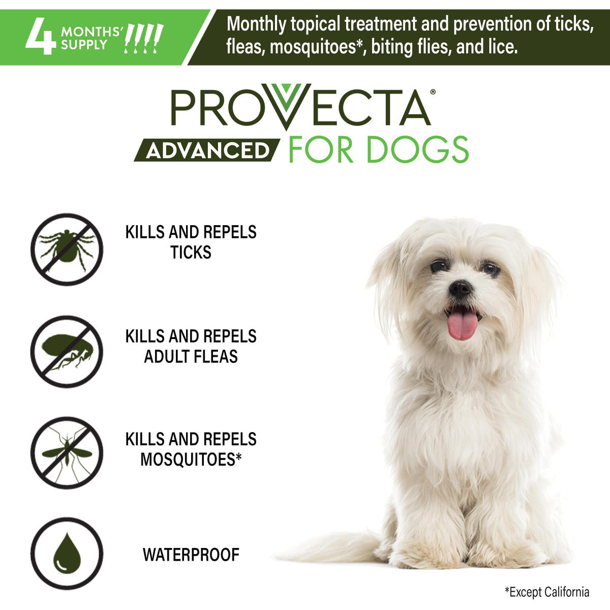 Flea & Tick for Small Dogs 5-10 lbs, 4-Month Supply T195