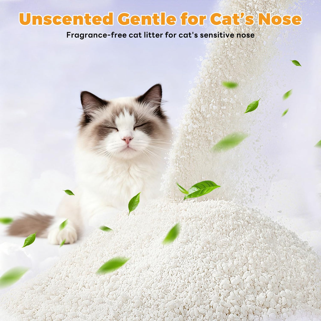Non-Stick Clumping Cat Litter 18 lbs 2 Pack B49535