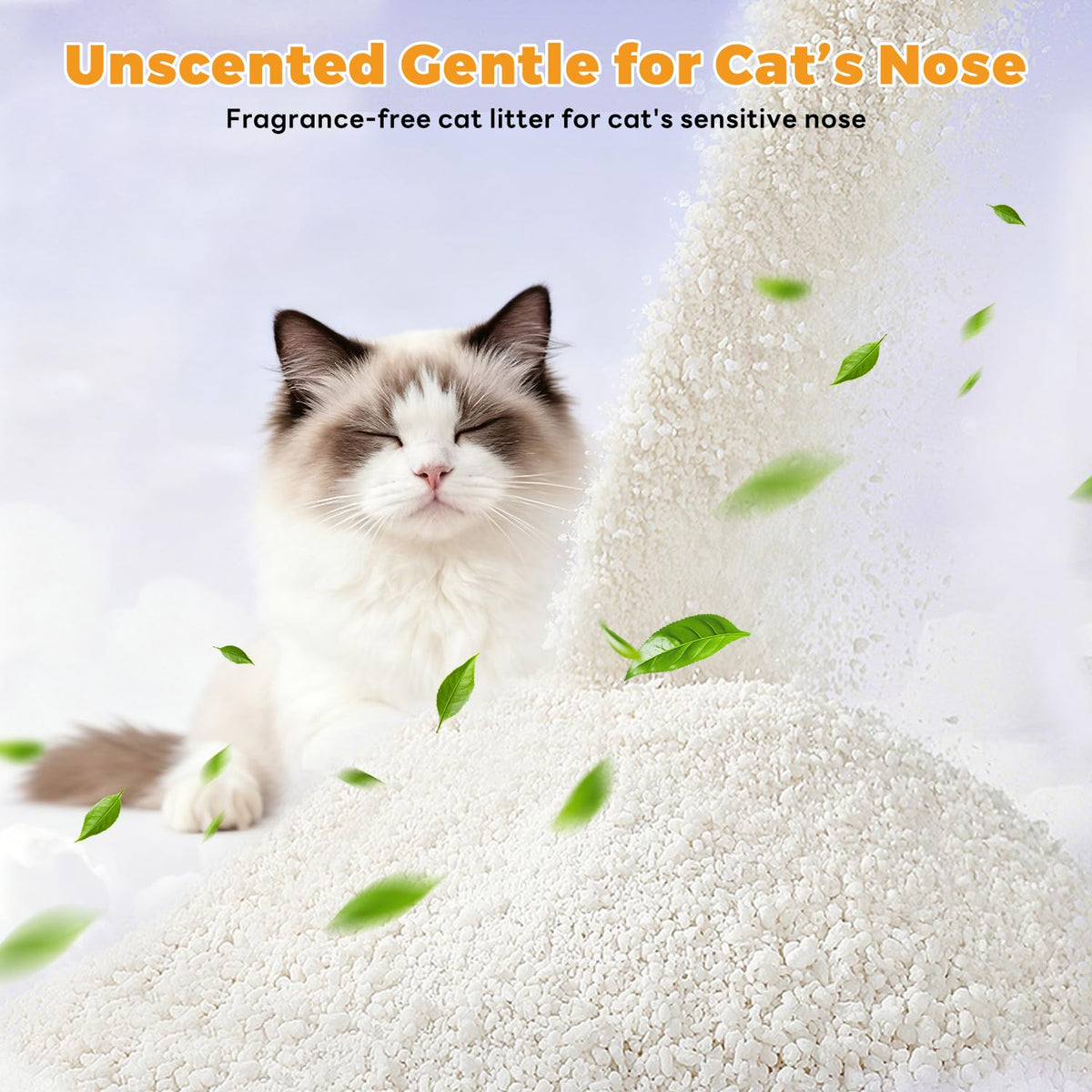 Non-Stick Clumping Cat Litter 18 lbs 2 Pack B49535
