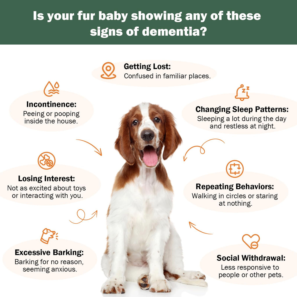Dog Supplements C95382
