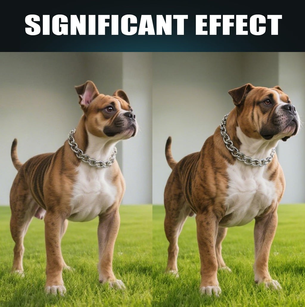 High Protein Dog Weight Gainer C211