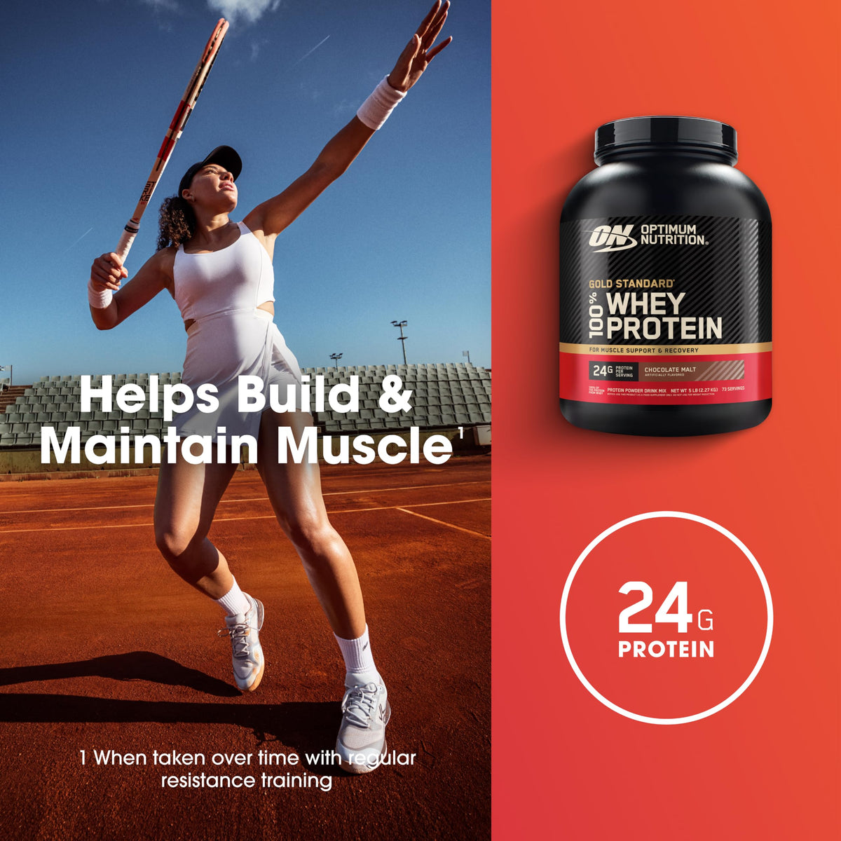 Whey Protein Powder Chocolate Malt 5 LB E556305