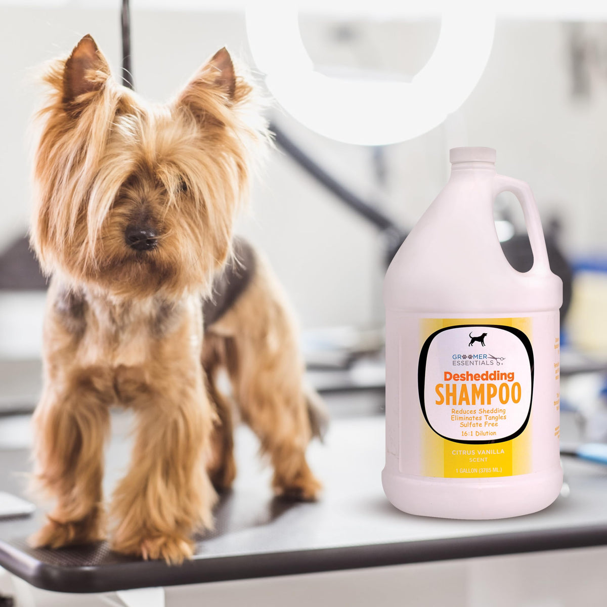 Deshedding Shampoo Gallon Q6181
