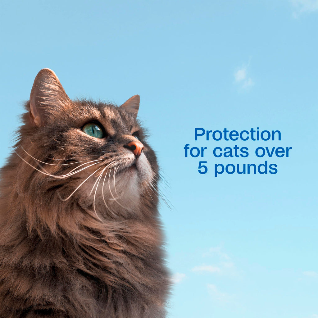Flea and Tick Prevention Spot On for Cats 3 Pack W746025