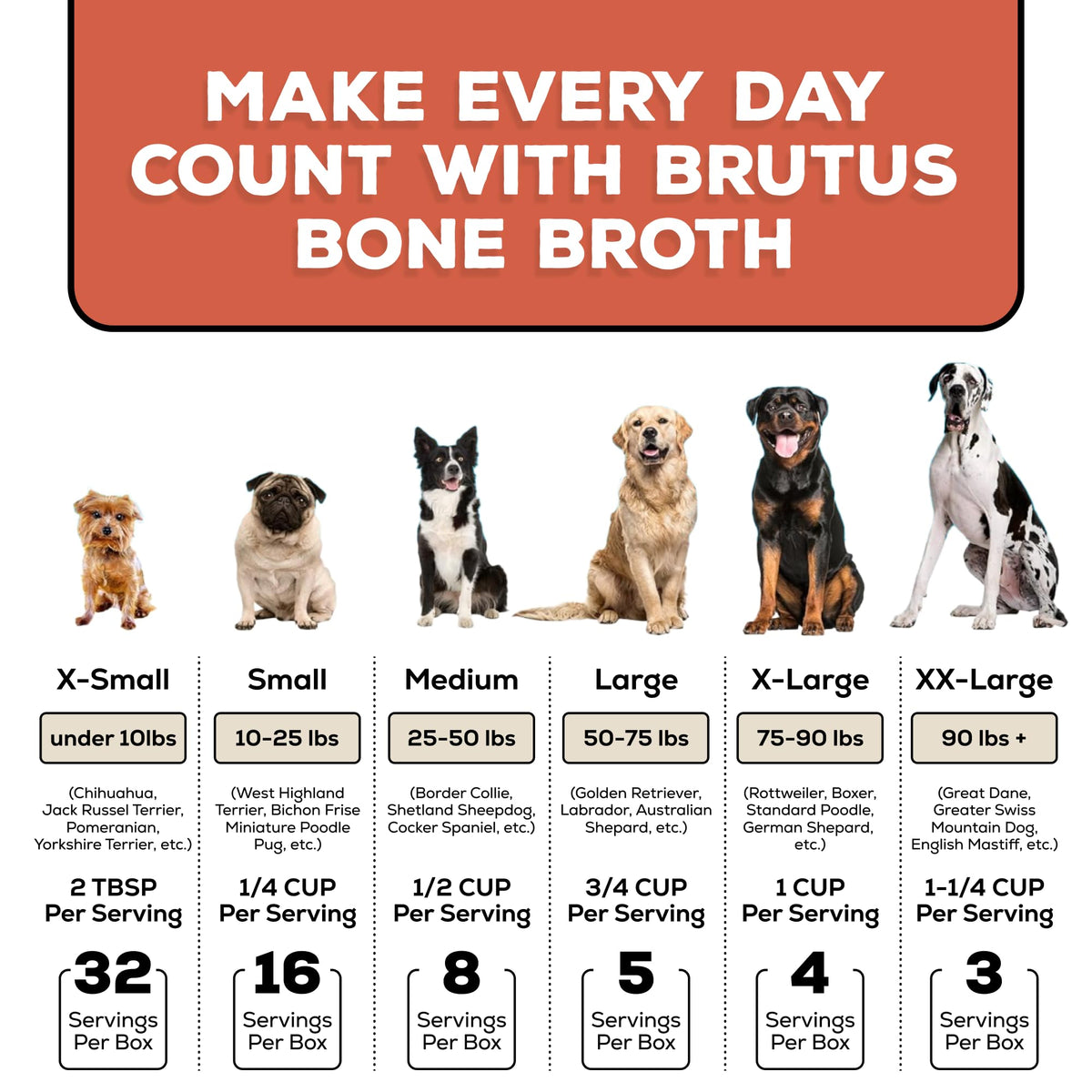 Instant Bone Broth Dog Food Topper Beef Flavor Pack of 2 J83267