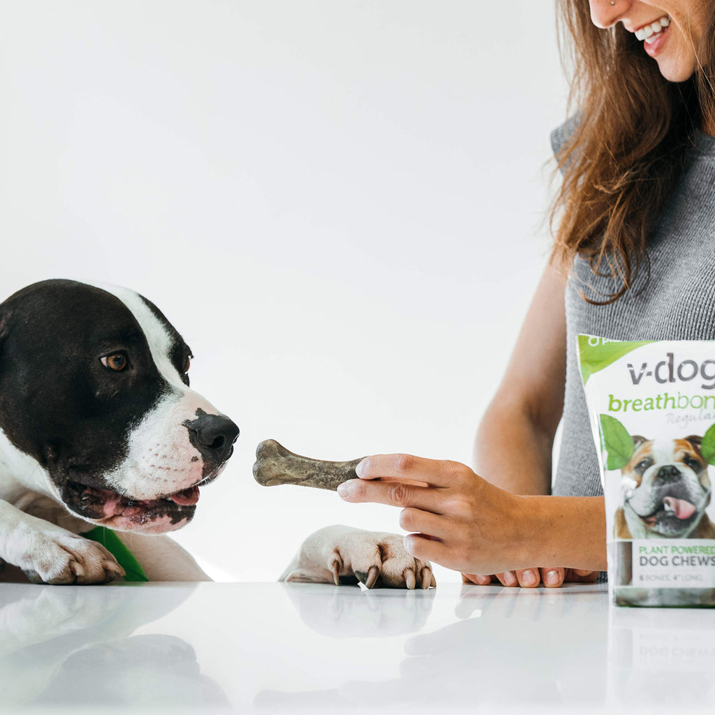 Vegan Dental Dog Bones 8 Ounces A8338