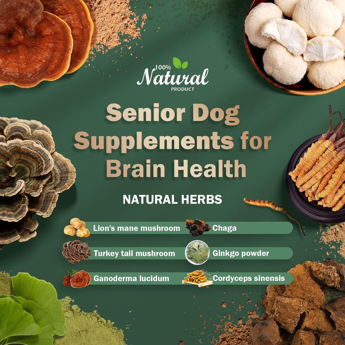 Dog Supplements C95382
