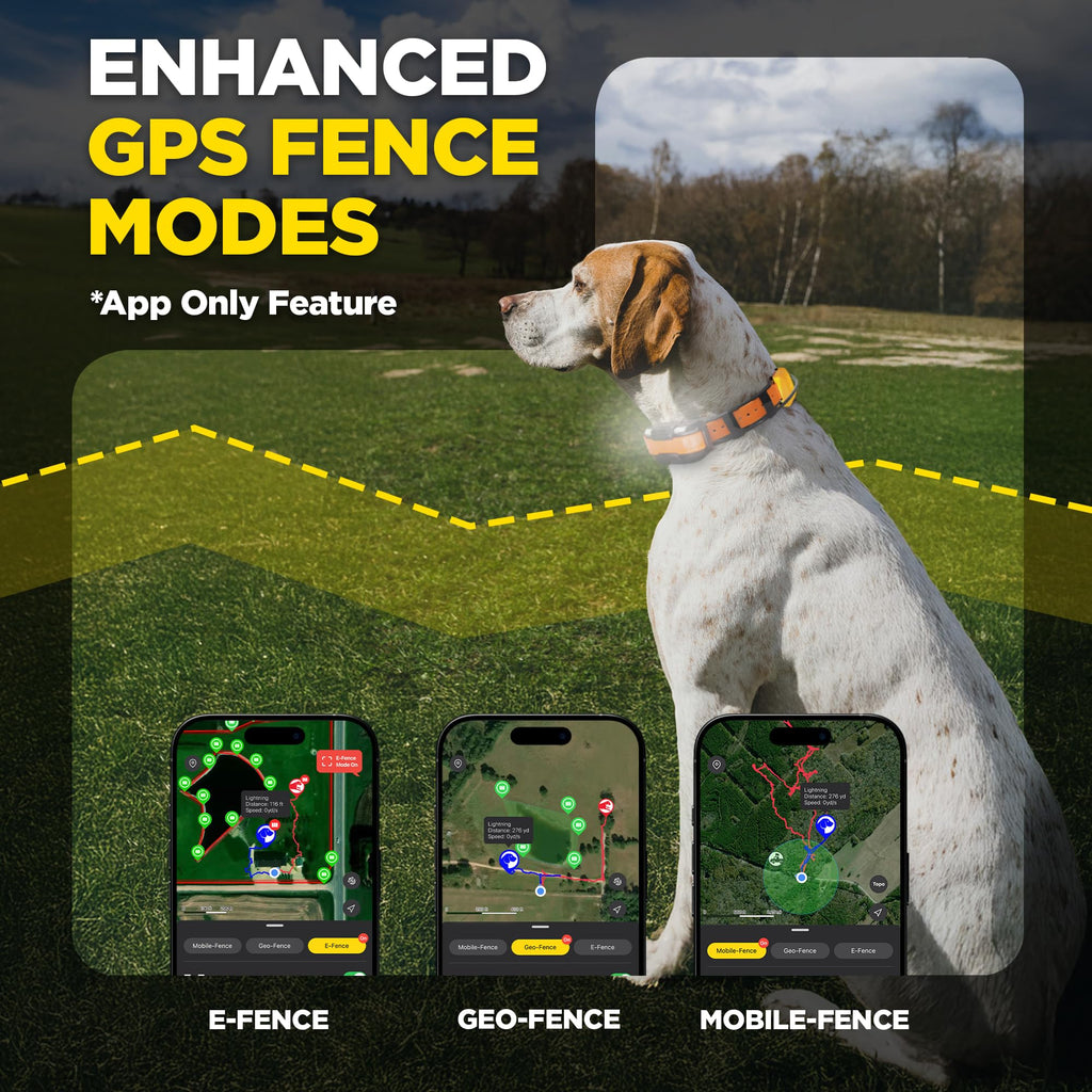 GPS Dog Tracking and Training System B602774